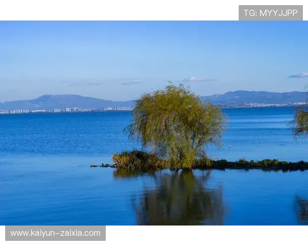 探索博雅德州:多元文化与自然风光的完美结合 探索博雅德州:多元文化与自然风光的完美结合